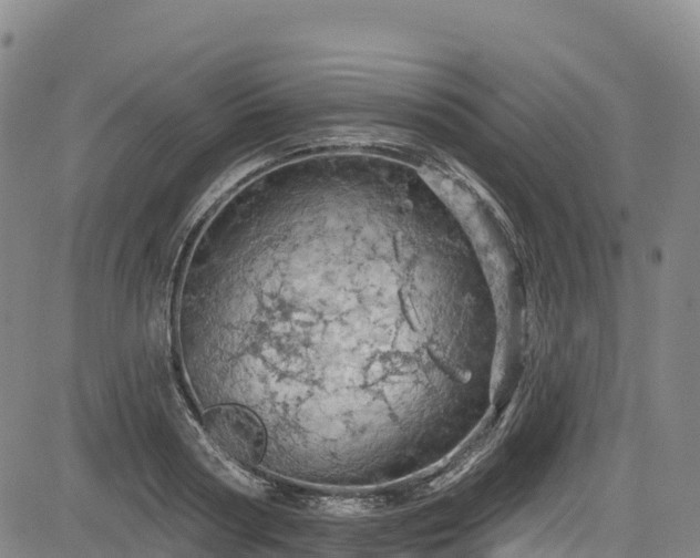 X0000085060794200703121524