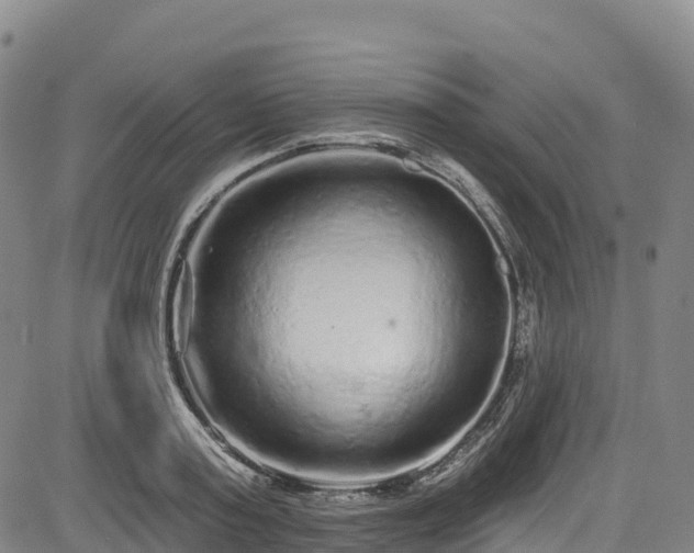 X0000085060795200703121523