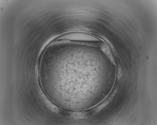 X0000085060796200703121523