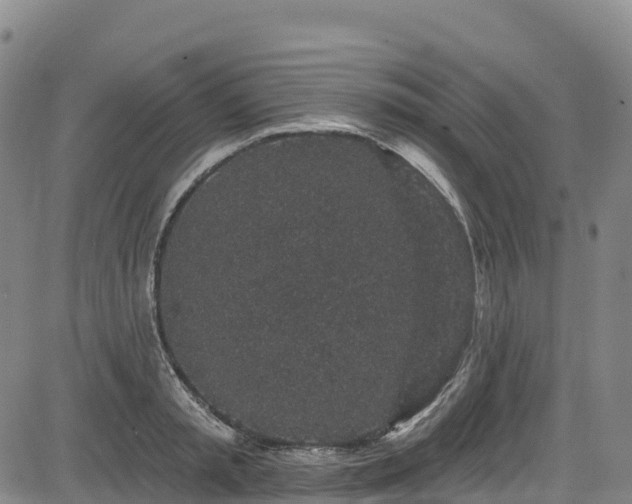 X0000085060797200703121523