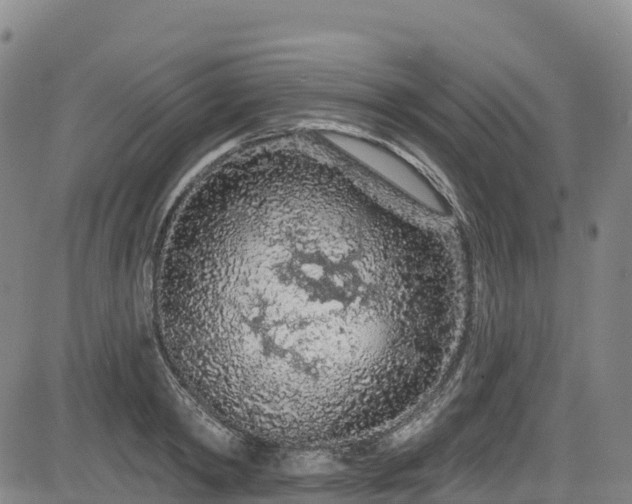 X0000085060798200703121523