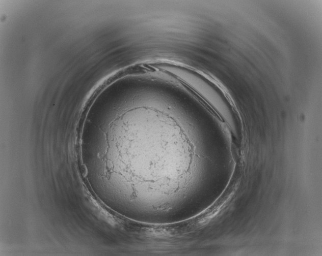 X0000085060799200703121523