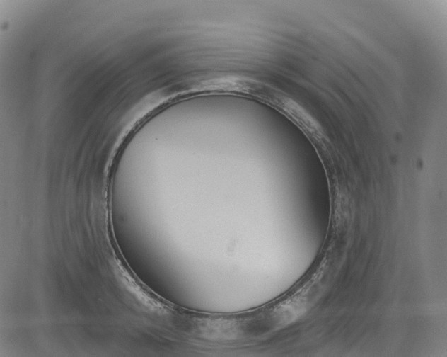 X0000085060800200703121523