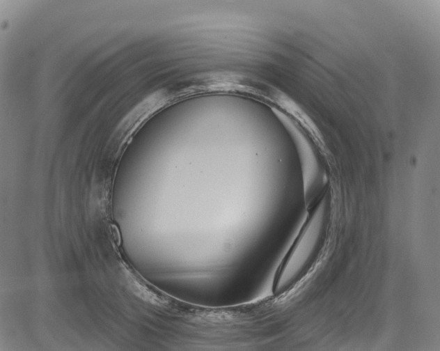 X0000085060801200703121523