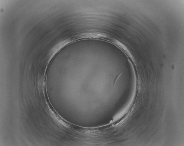 X0000085060802200703121523