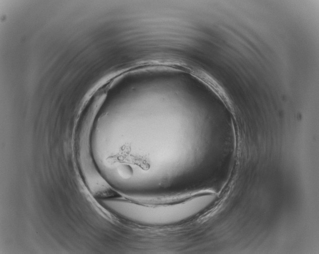 X0000085060803200703121523