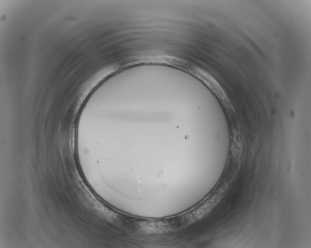 X0000085060804200703121523