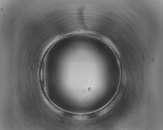 X0000085060805200703121523