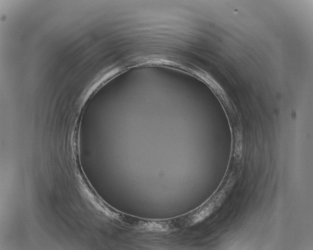 X0000085060806200703121523