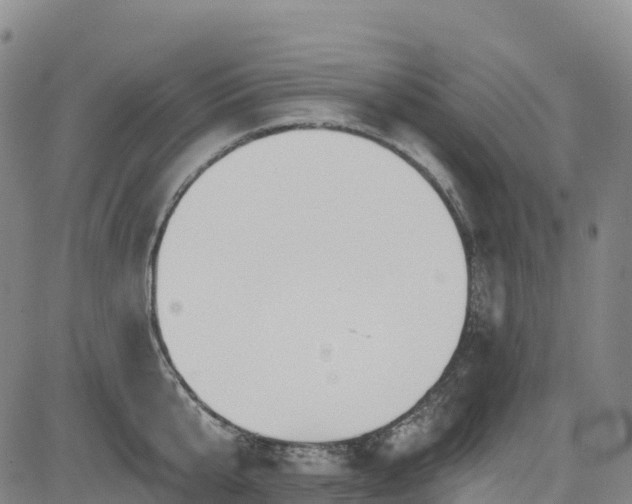 X0000085060807200703121523