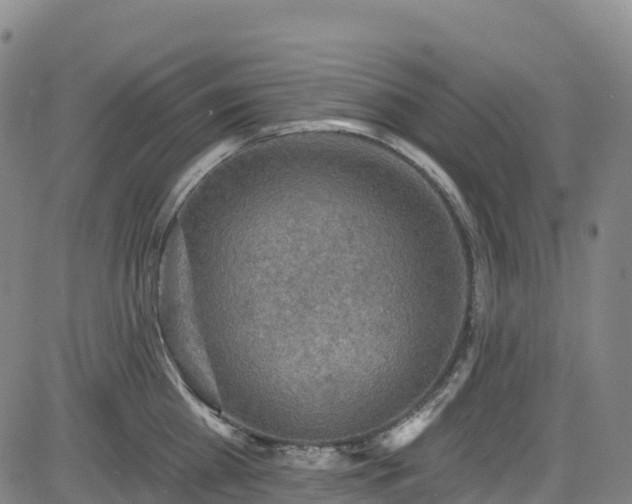 X0000085060809200703121523