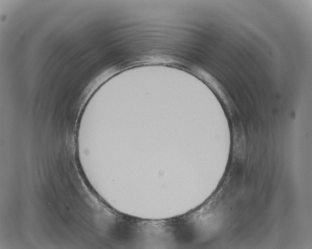 X0000085060810200703121523