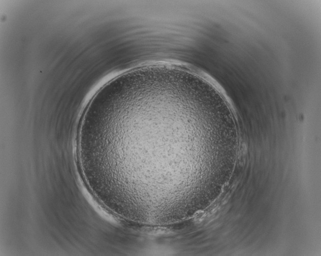 X0000085060811200703121523