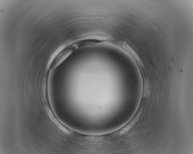 X0000085060812200703121523