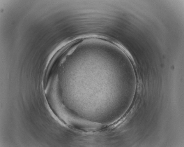 X0000085060813200703121523