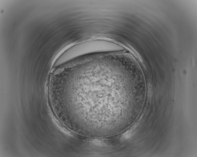 X0000085060814200703121523