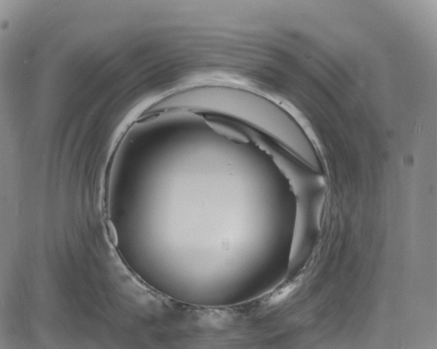 X0000085060815200703121523