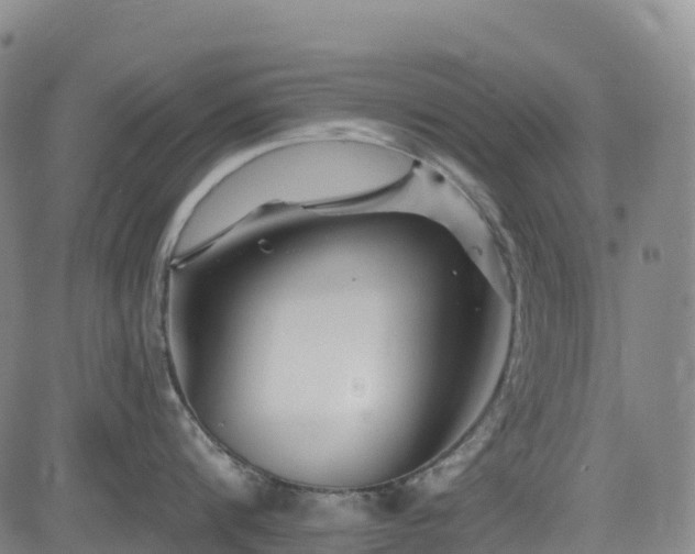 X0000085060816200703121523