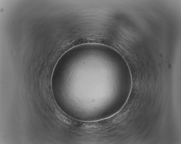 X0000085060817200703121522