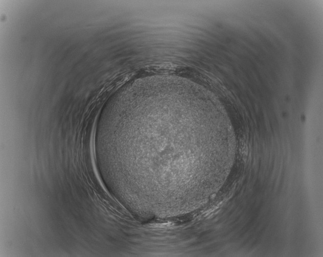 X0000085060818200703121522