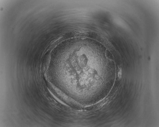 X0000085060819200703121522