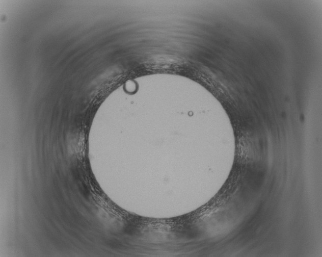 X0000085060820200703121522