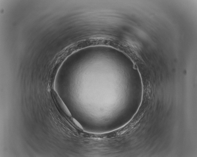 X0000085060821200703121522