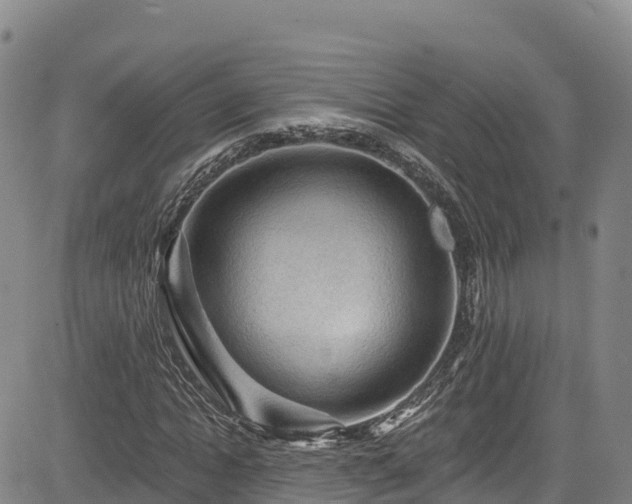 X0000085060822200703121522