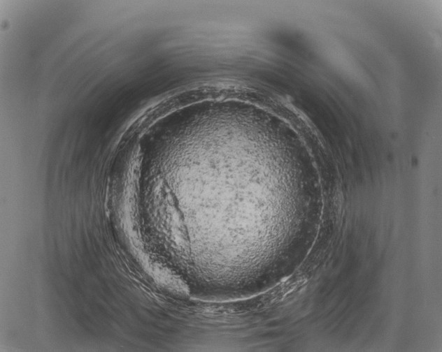 X0000085060823200703121522