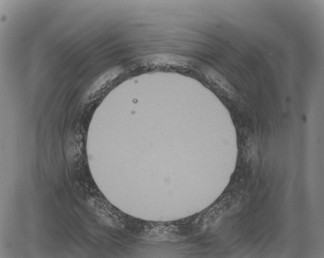 X0000085060824200703121522