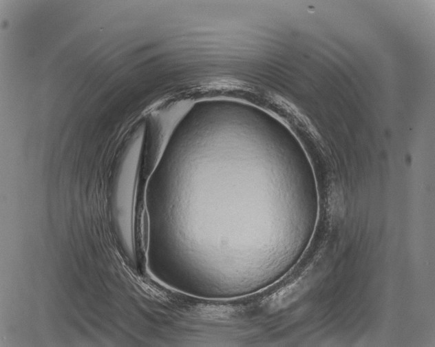 X0000085060825200703121522