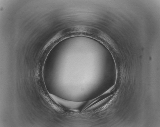 X0000085060826200703121522