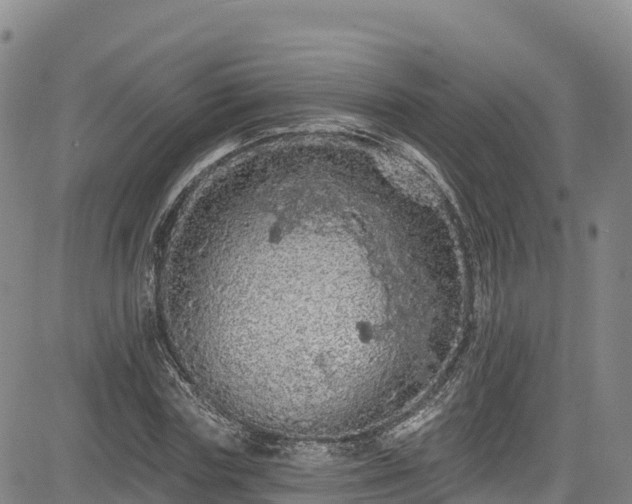 X0000085060827200703121523