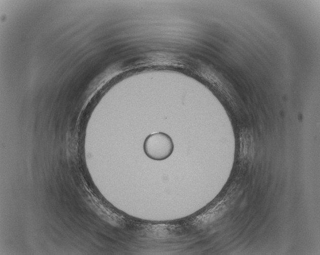 X0000085060828200703121523