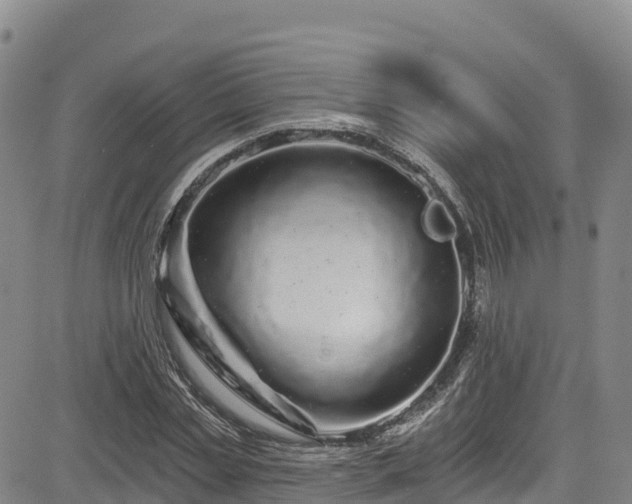 X0000085060829200703121523