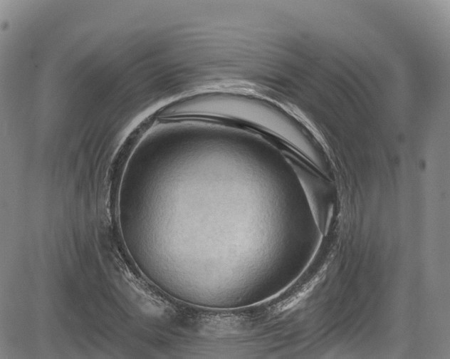 X0000085060830200703121523