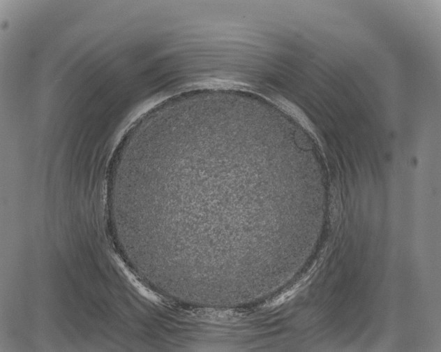 X0000085060831200703121523