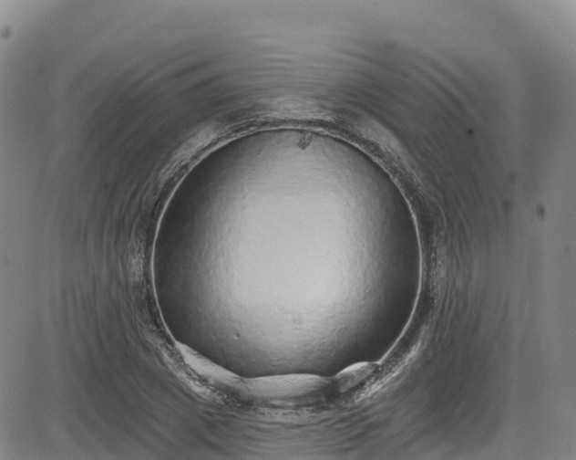 X0000085060833200703121523