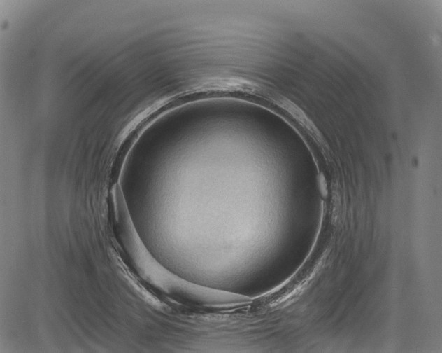 X0000085060834200703121523