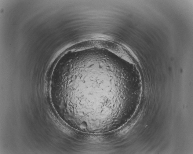 X0000085060835200703121523