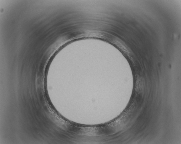 X0000085060836200703121523