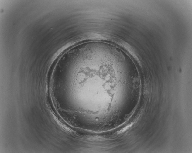 X0000085060837200703121523