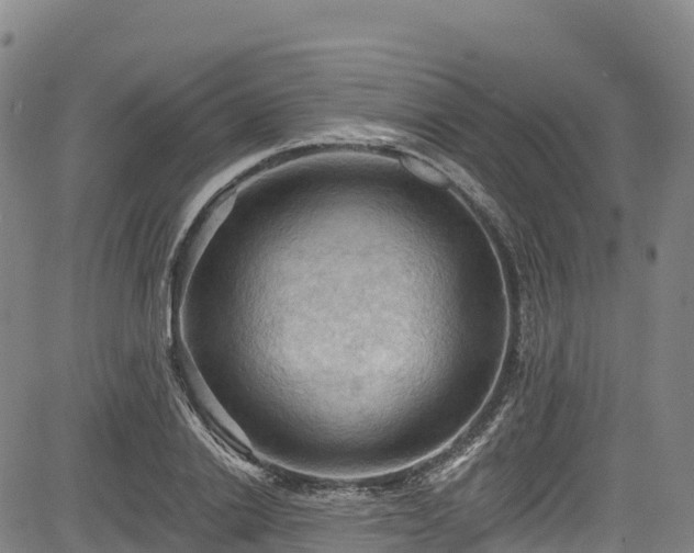 X0000085060838200703121523