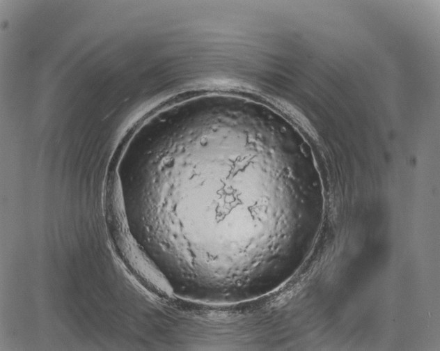 X0000085060839200703121523