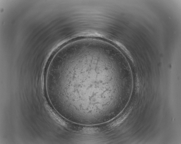 X0000085060840200703121523