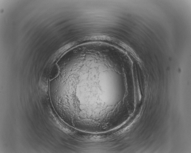 X0000085060841200703121523