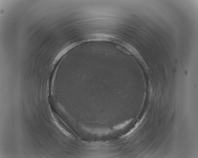 X0000085060842200703121523