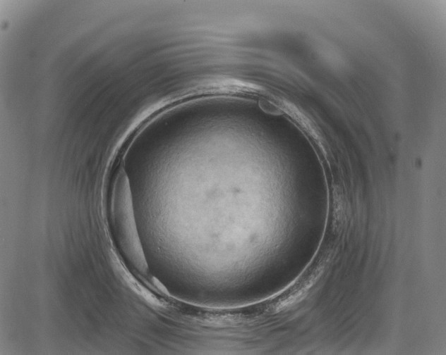 X0000085060843200703121523