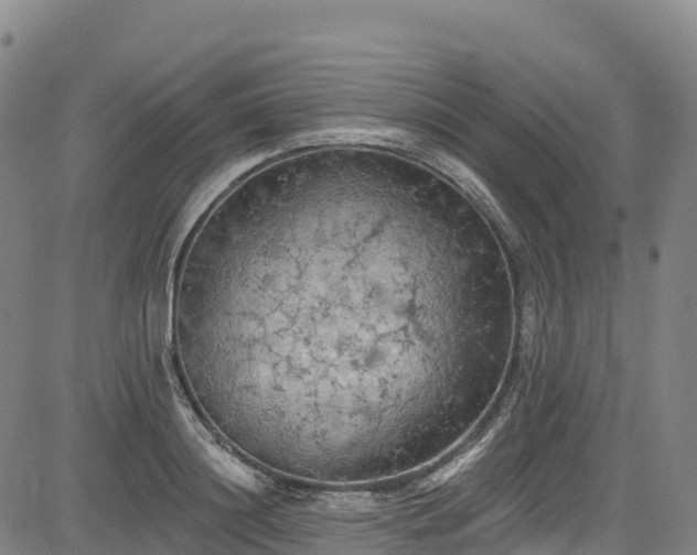 X0000085060844200703121523