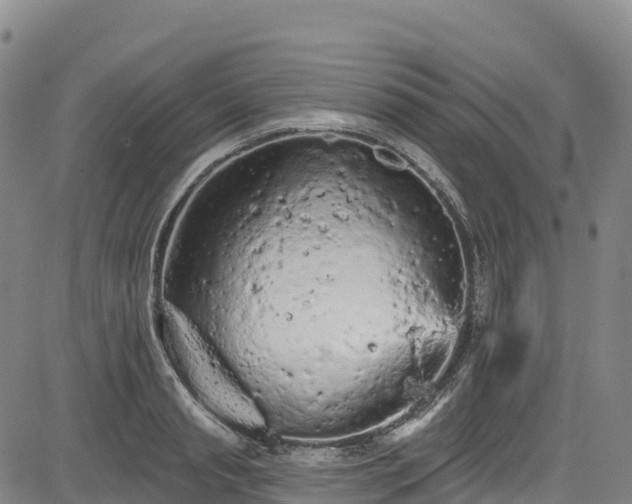 X0000085060845200703121523